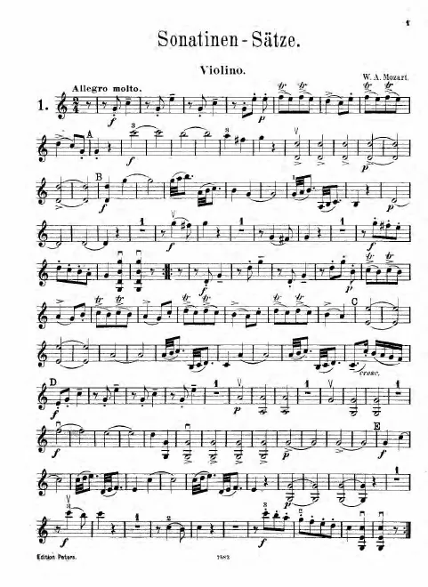 Violin