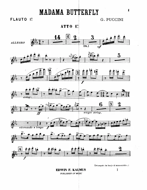 Flute 1