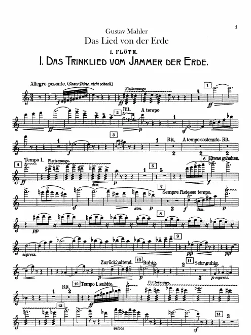 Flute 1