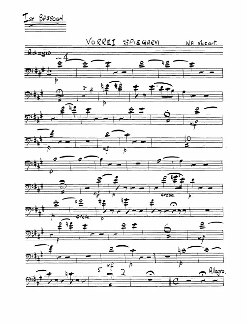 Bassoon 1
