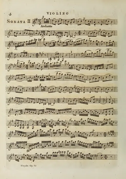 Violin