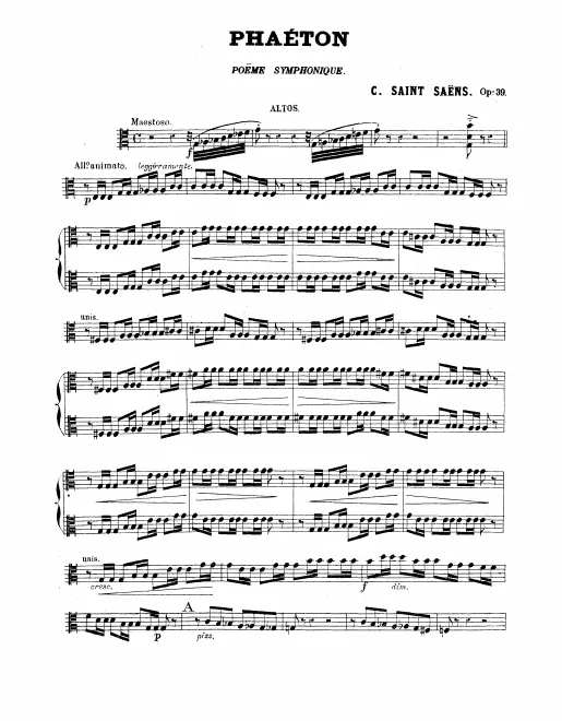 Violas