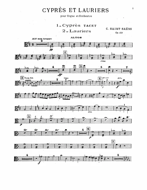 Violas