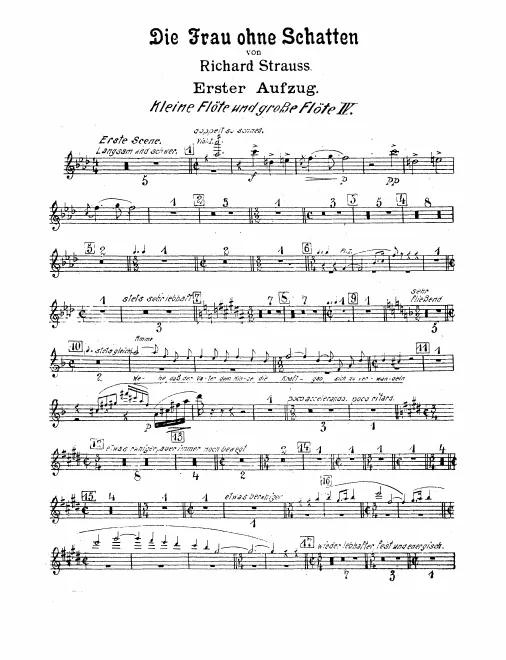 Flute 4/Piccolo 2