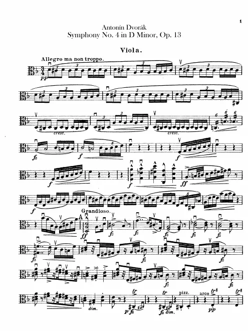 Violas