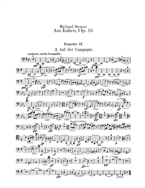 Bassoon 2