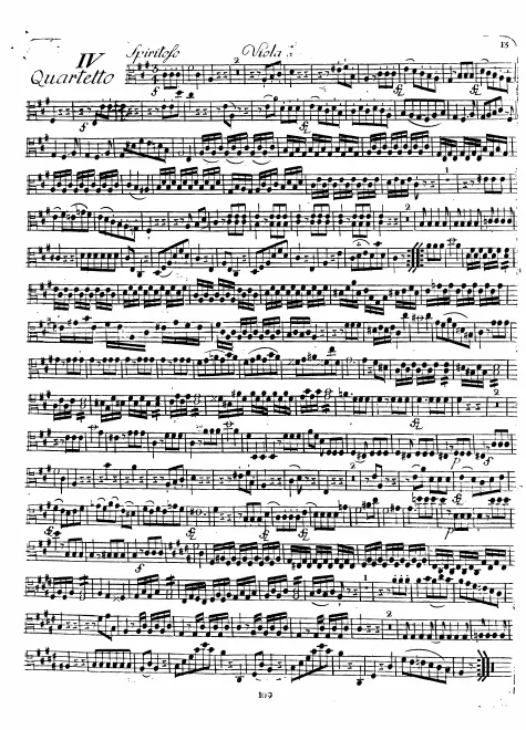 Viola