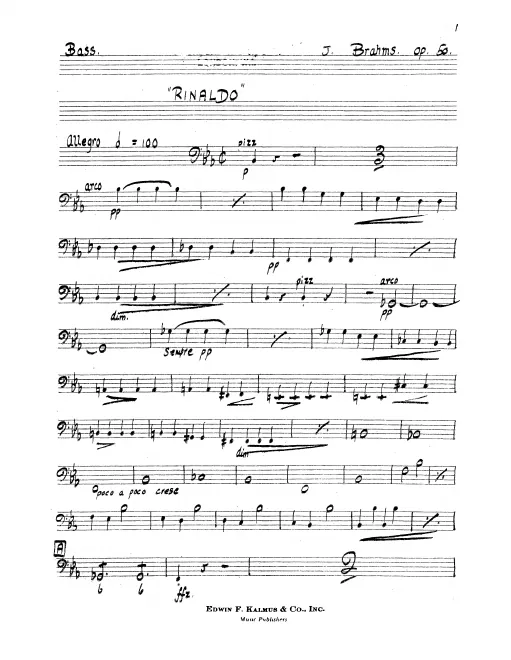 Basses