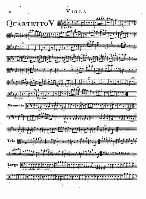 Viola