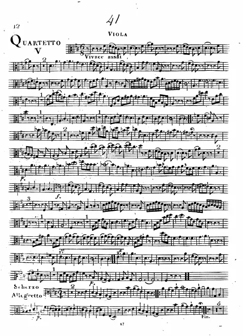Viola