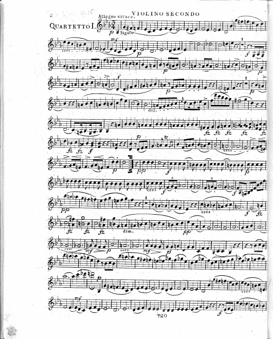 Violin 2