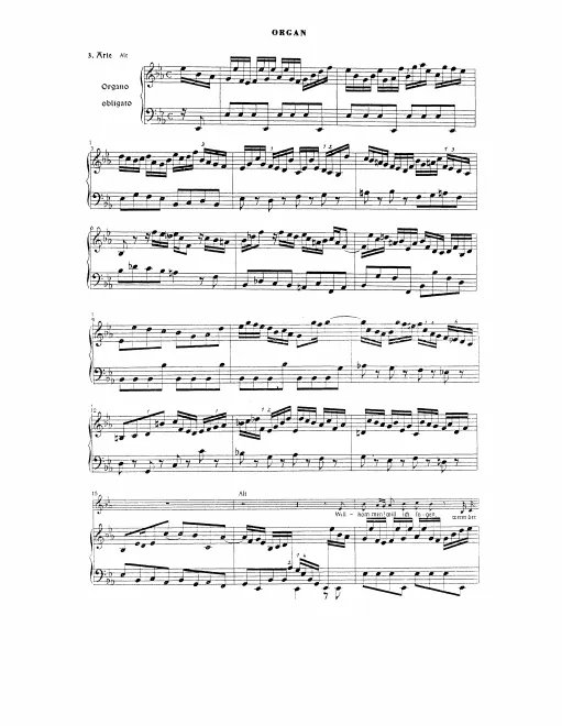 Continuo (Organ)