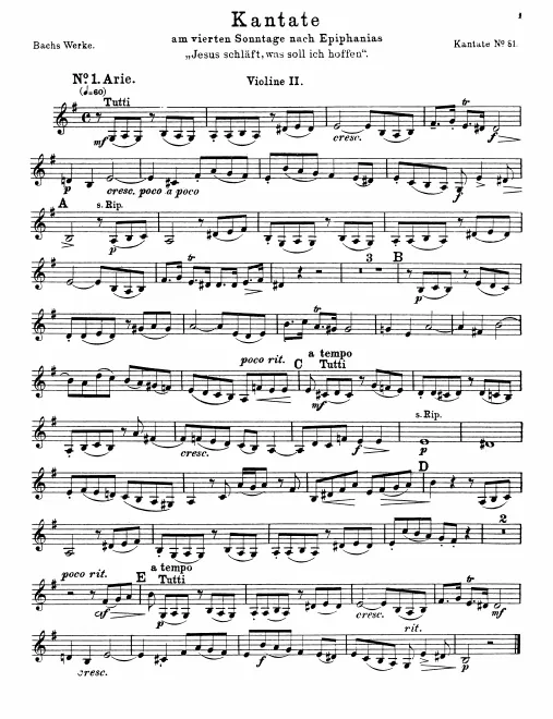 Violins II