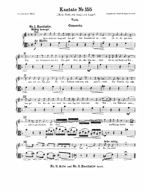 Violas