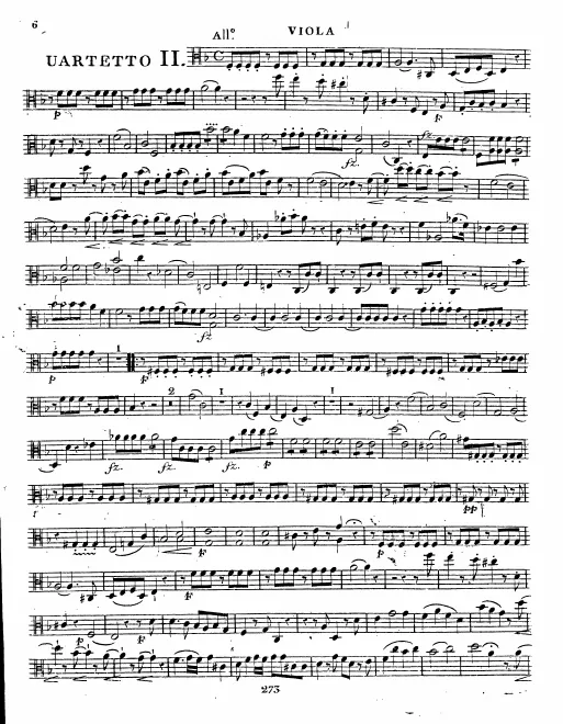 Viola