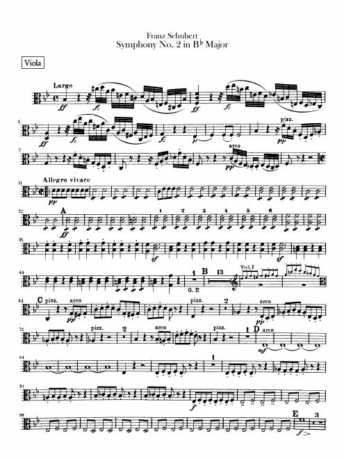 Viola