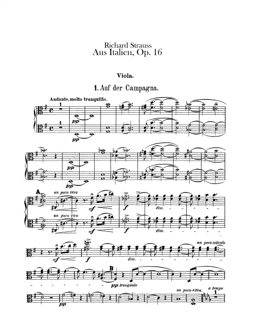 Violas