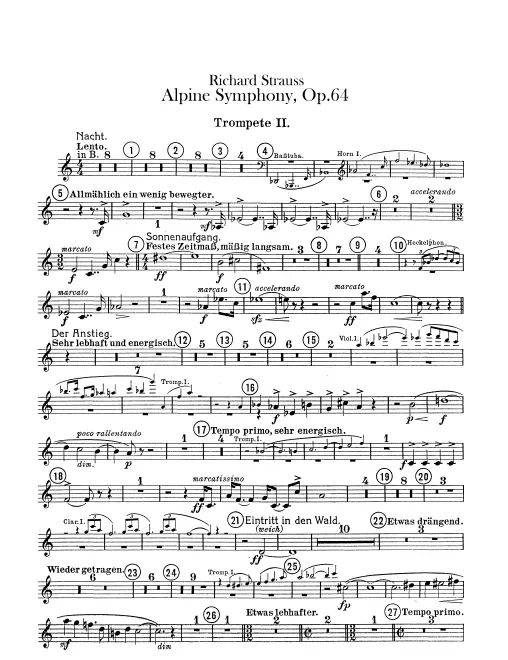 Trumpet 2 (B/E/C, Onstage)