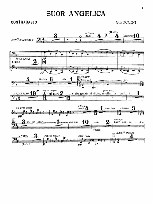 Basses