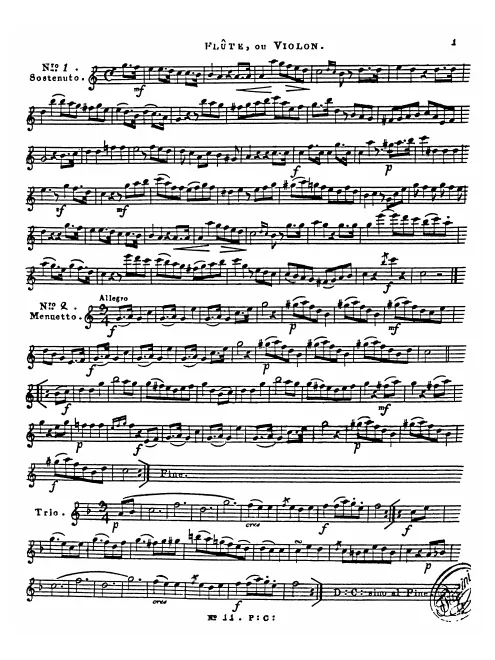Flute/Violin