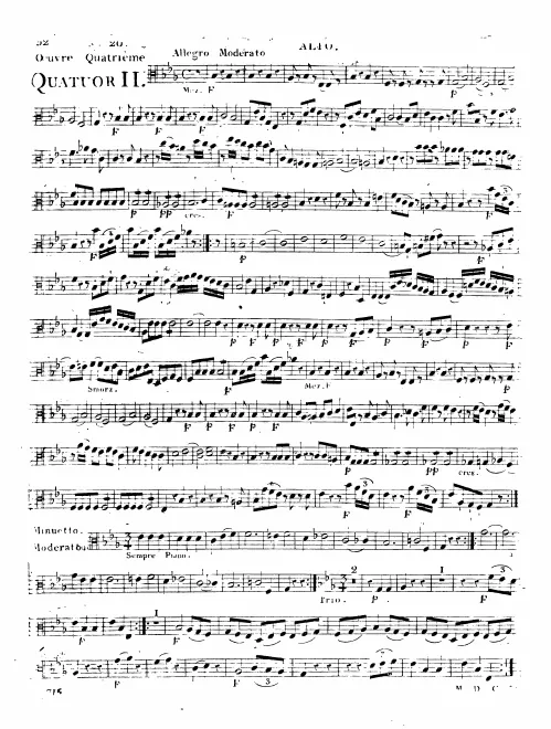 Viola