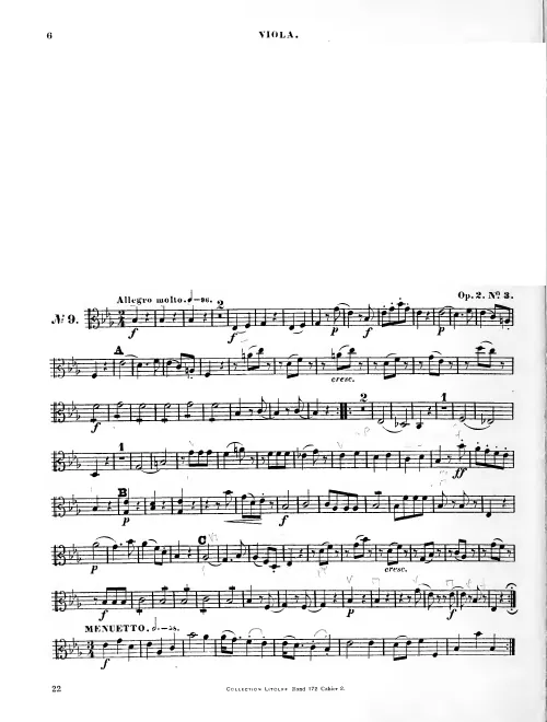 Viola