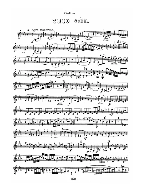 Violin