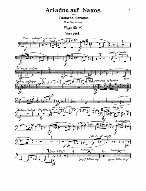 Bassoon 2