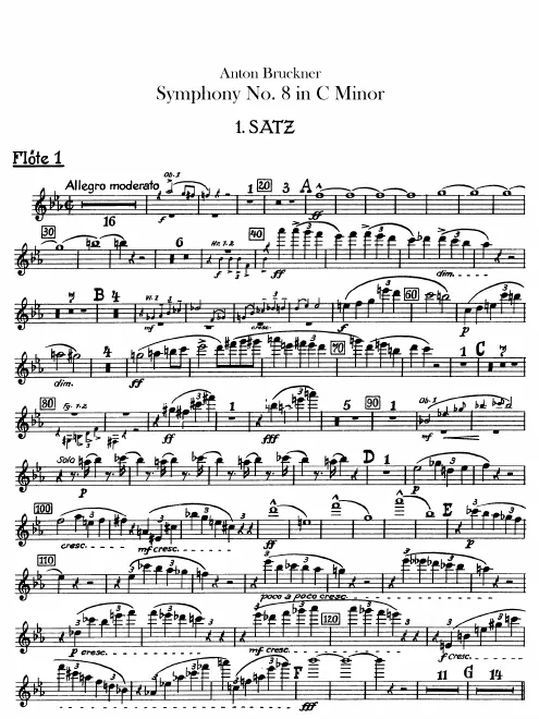 Flute 1