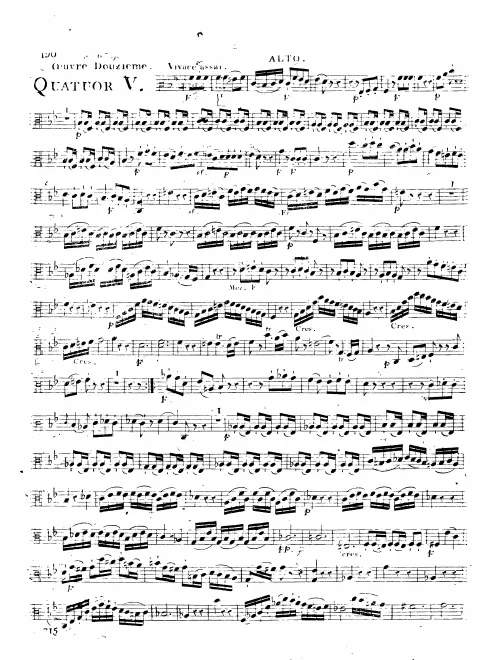 Viola