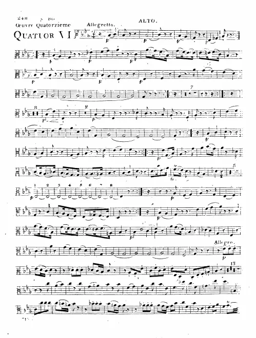 Viola