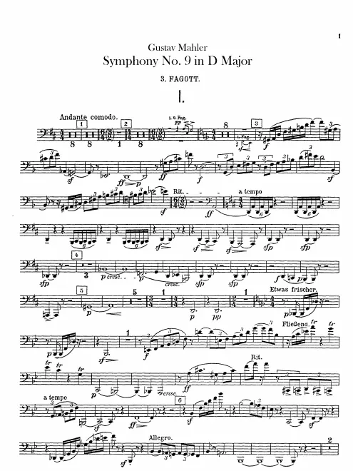 Bassoon 3