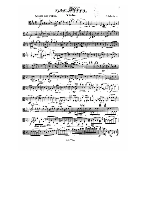 Viola