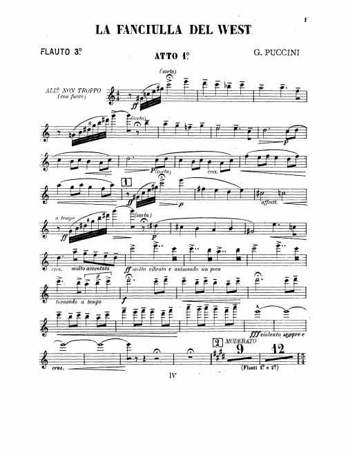 Flute 3