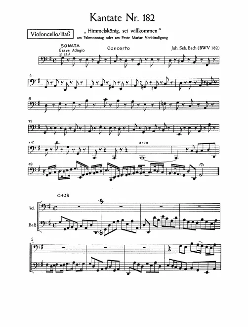 Cellos/Basses