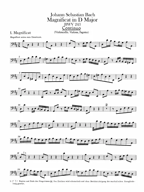 Cellos/Basses/Bassoons