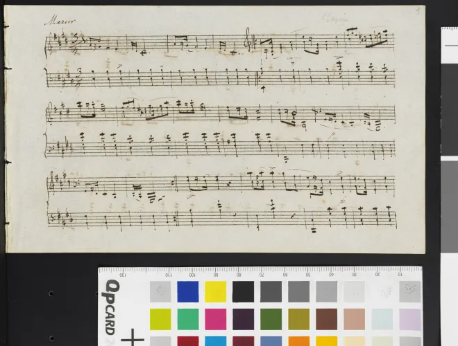 3. Vivace