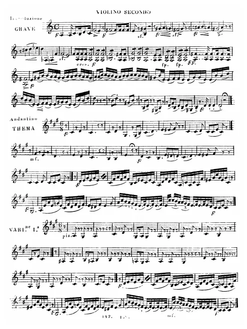 Violin 2