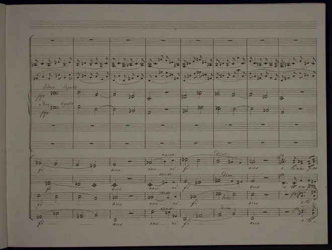 Segment 3