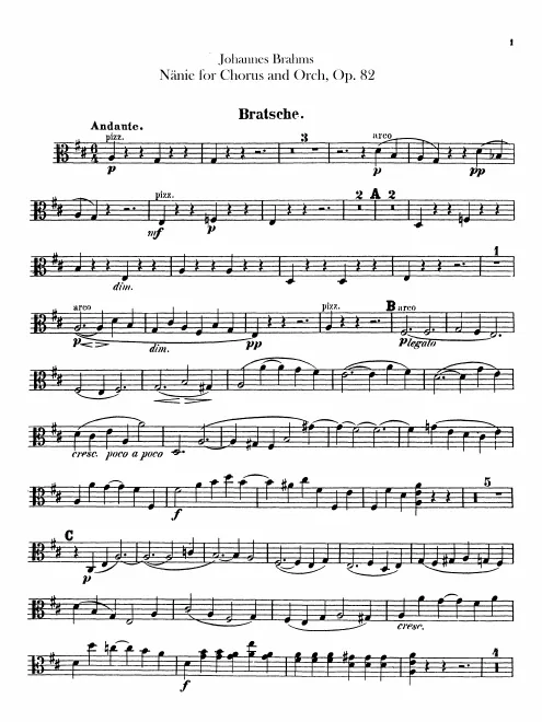 Violas