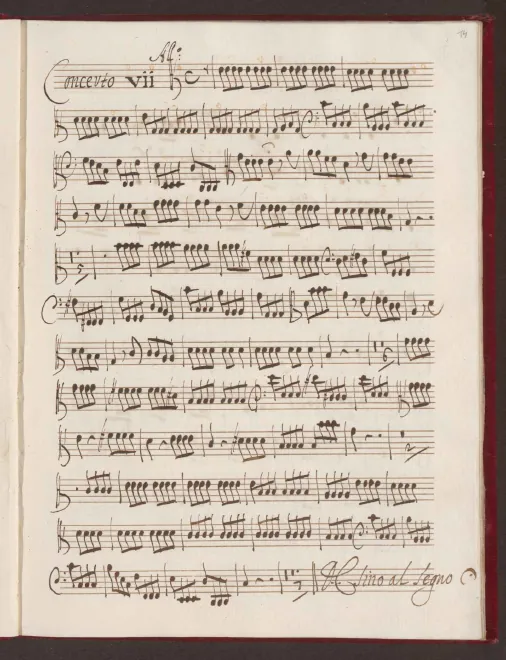 Violas