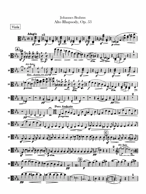 Violas
