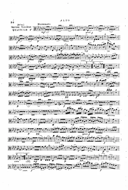 Viola