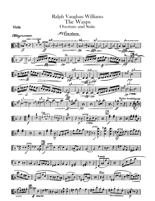Violas