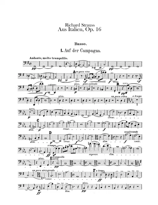 Basses