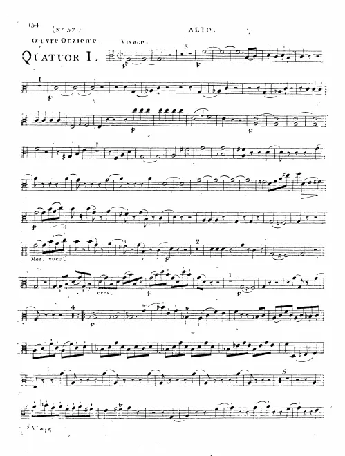 Viola