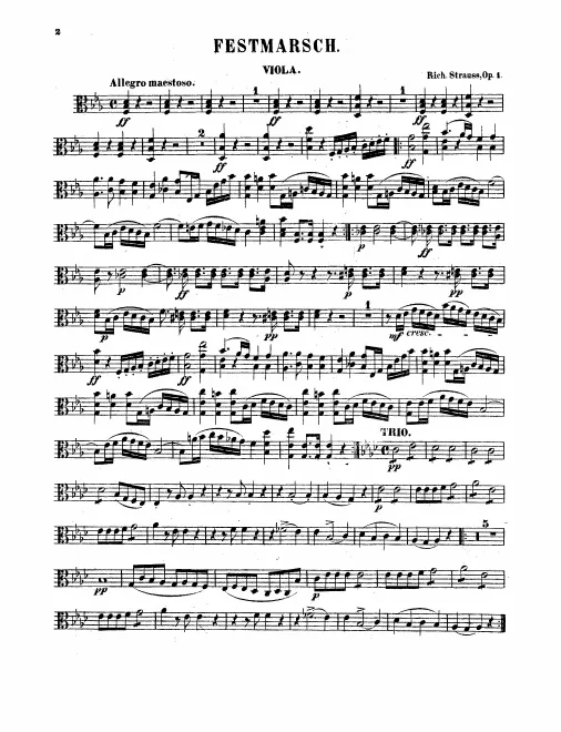 Violas