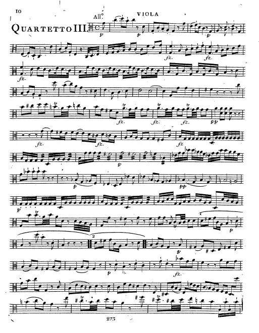 Viola