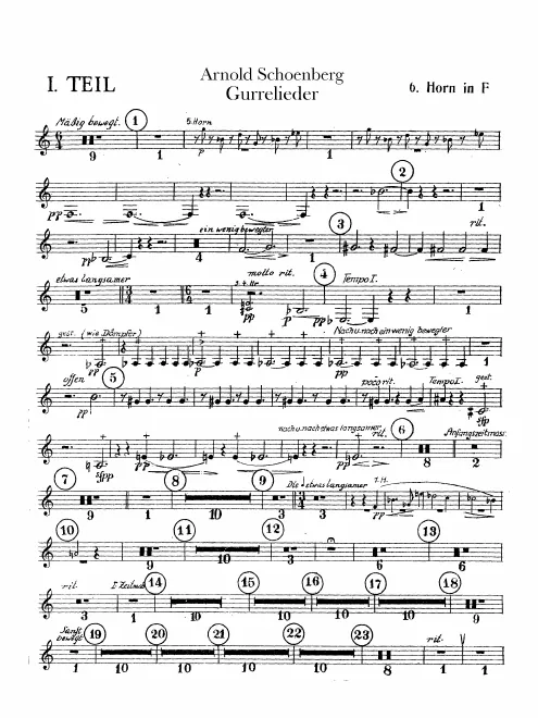 Horn 6 (F)