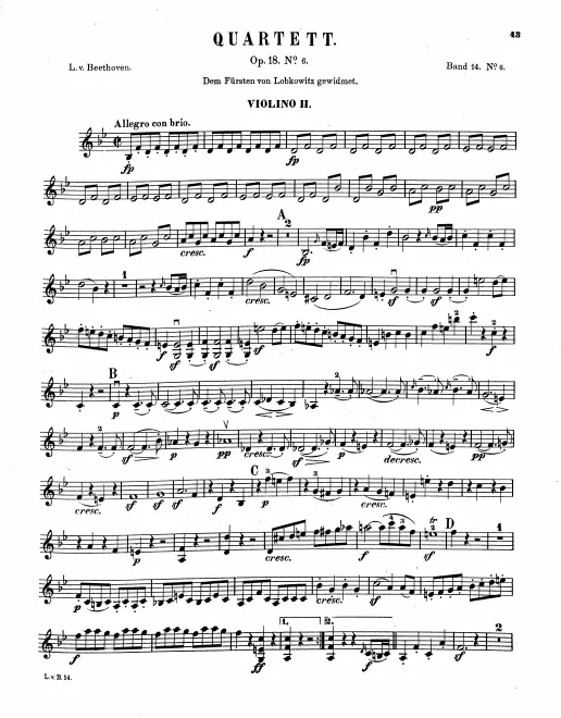 Violin 2